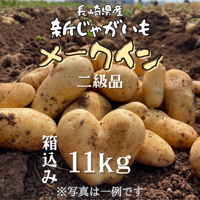 【長崎県産】新じゃがいも（メークイン）【5/30まで】 食品/飲料/酒の食品(野菜)の商品写真