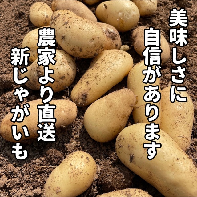 【長崎県産】新じゃがいも（メークイン）【5/30まで】 食品/飲料/酒の食品(野菜)の商品写真