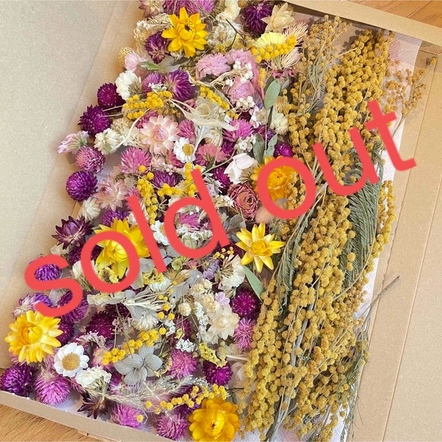 ドライフラワー花材⑦ ハーバリウム素材　リース素材　ハンドメイド素材　ミモザ花材のサムネイル