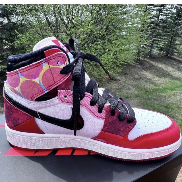 Jordan Brand(NIKE) - 【専用】Nike Air Jordan 1 スパイダーマン