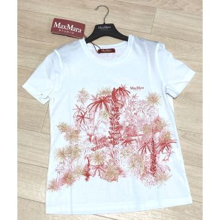 マックスマーラ(Max Mara)のマックスマーラ 刺繍デザインＴシャツ ホワイト(Tシャツ(半袖/袖なし))