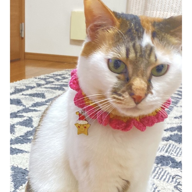 猫さん 首輪 シュシュ 🩷 ハンドメイドのペット(リード/首輪)の商品写真