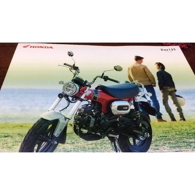 ホンダ(ホンダ)のダックス カタログ 自動車/バイクのバイク(カタログ/マニュアル)の商品写真