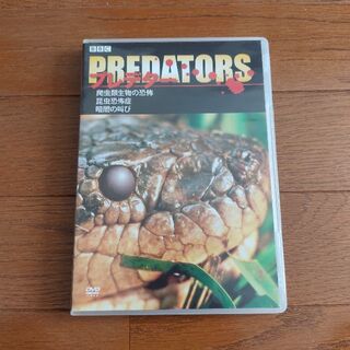 BBC プレデター predators 爬虫類 昆虫 