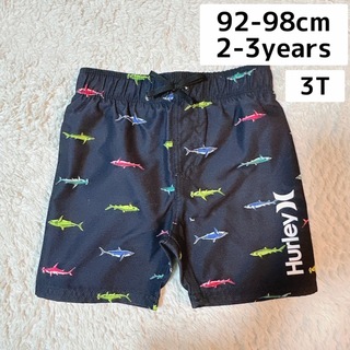 ハーレー(Hurley)の【新品】 Hurley　キッズサーフパンツ 水着 ブラック　サメ柄　2歳3歳(水着)