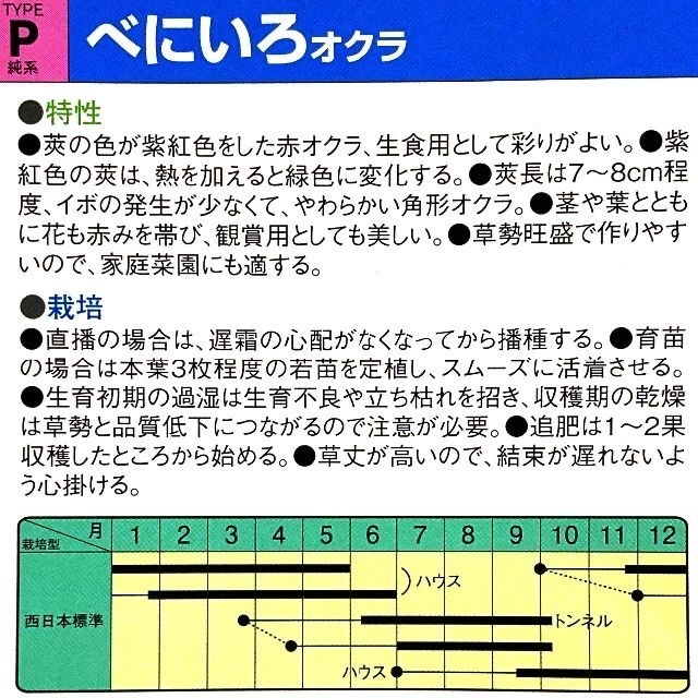 らくまぁと様専用　セレクト種子　4袋 食品/飲料/酒の食品(野菜)の商品写真