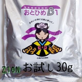 高栄養飼料 メダカ餌 おとひめB1 30g アクアリウム 熱帯魚(アクアリウム)