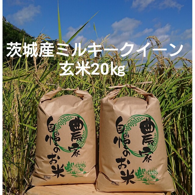 茨城令和4年産ミルキークイーン玄米20kg 食品/飲料/酒の食品(米/穀物)の商品写真