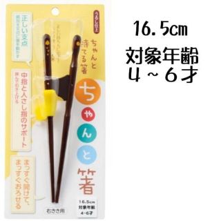 ちゃんと箸 子供用 矯正箸 16.5cm 右利き用(カトラリー/箸)