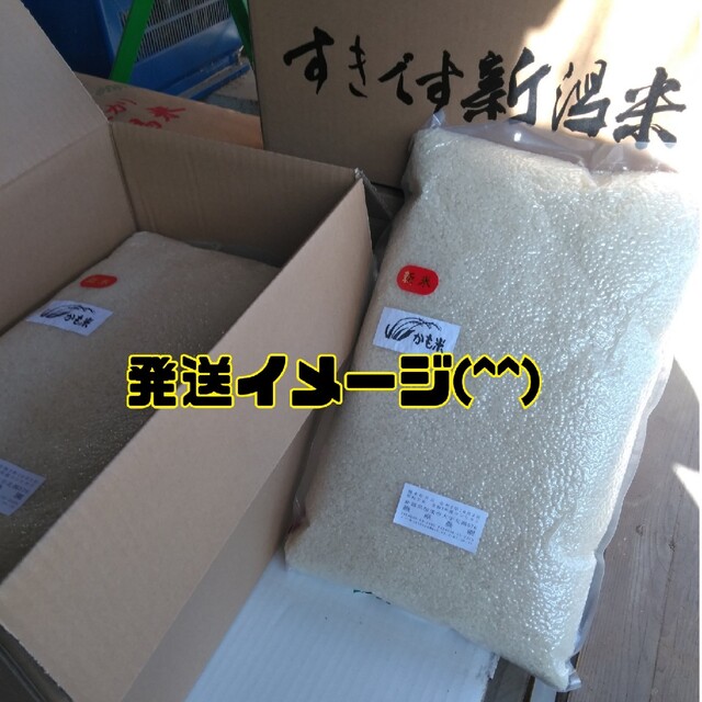 無農薬米新潟県産コシヒカリ20k 食品/飲料/酒の食品(米/穀物)の商品写真