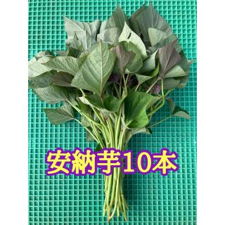 安納芋　苗(野菜)