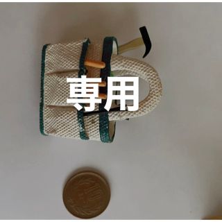 シフォン様専用(ミニチュア)