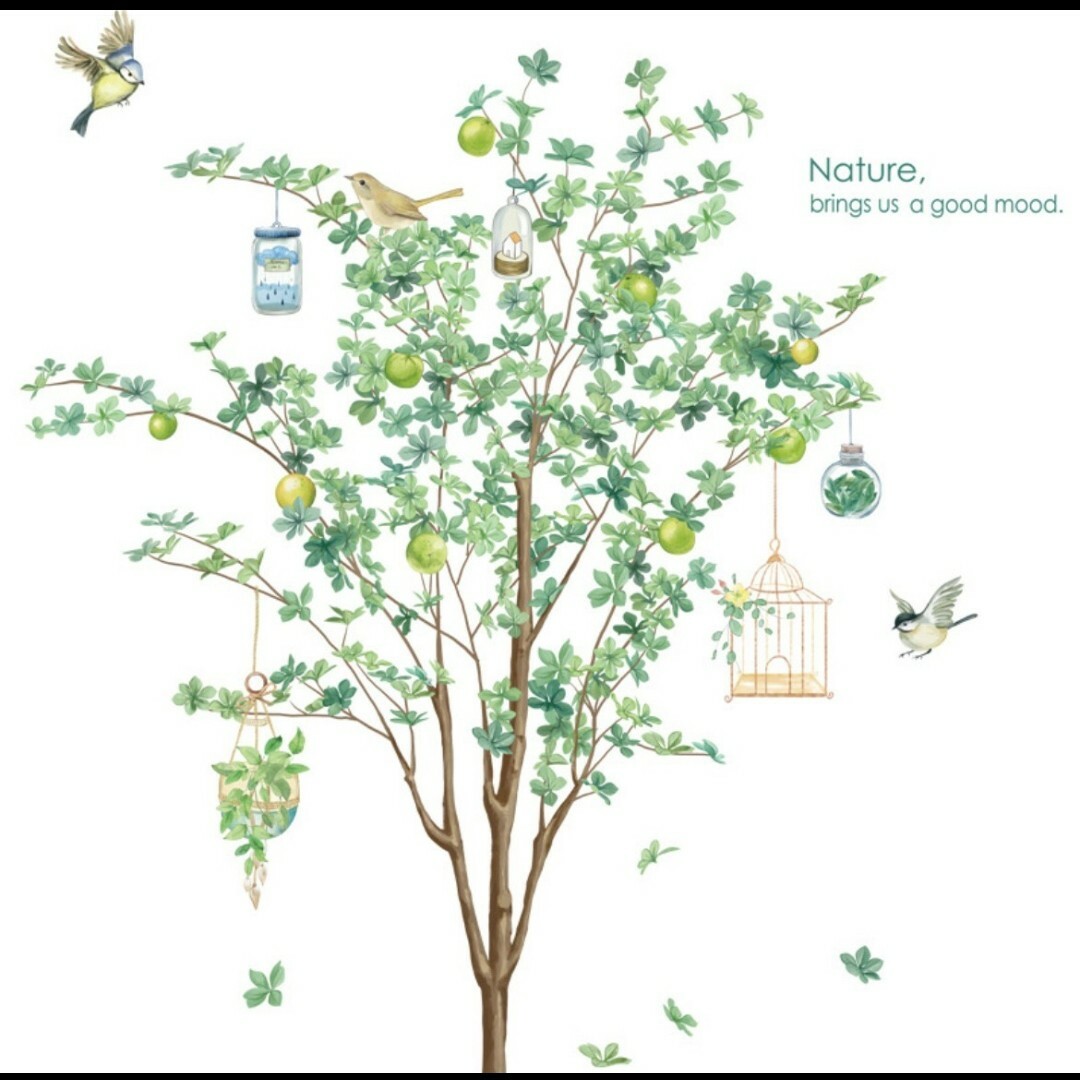 ウォールステッカー　グリーン　小鳥　木　壁紙　植物　自然　欧風　インテリア インテリア/住まい/日用品のインテリア/住まい/日用品 その他(その他)の商品写真