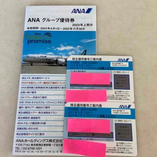 エーエヌエー(ゼンニッポンクウユ)(ANA(全日本空輸))のANAの株主優待券2枚とグループ優待券(航空券)