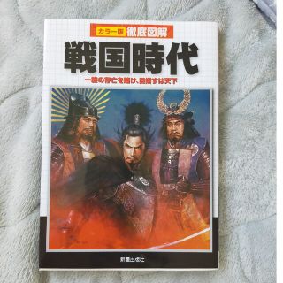 徹底図解戦国時代 一族の存亡を賭け、目指すは天下(その他)