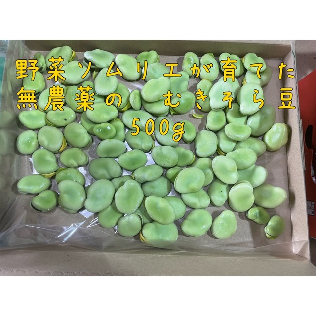 無農薬　むきソラマメ 食品/飲料/酒の食品(野菜)の商品写真