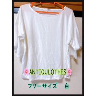 フレアスリーブ ＊ フリーサイズ ＊ 試着のみ ＊ 小さいシミあり。(Tシャツ(半袖/袖なし))