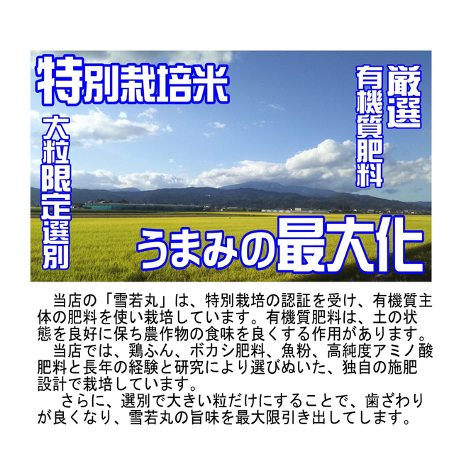 雪若丸１０ｋｇ　めしだけでうまい。2022年産　山形県産　特栽＆大粒  食品/飲料/酒の食品(米/穀物)の商品写真