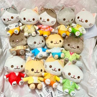 SEVENTEEN - SEVENTEEN ANIMAL COORDY ミニ ぬいぐるみ 全13種の通販