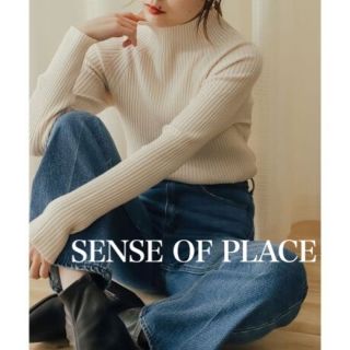 センスオブプレイスバイアーバンリサーチ(SENSE OF PLACE by URBAN RESEARCH)のSENSE OF PLACE ストレッチリブハイネックセーター　アイボリー　F(ニット/セーター)