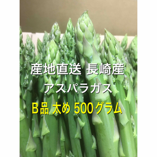 産直長崎産アスパラガスB品 太め 500グラム(野菜)