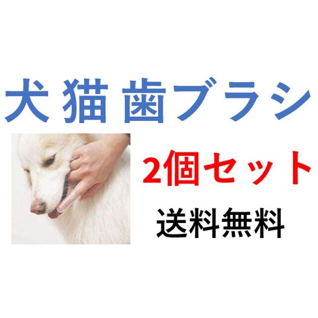 犬 猫 歯ブラシ 2個セット 柔らかい シリコン 送料無料 その他のペット用品(犬)の商品写真