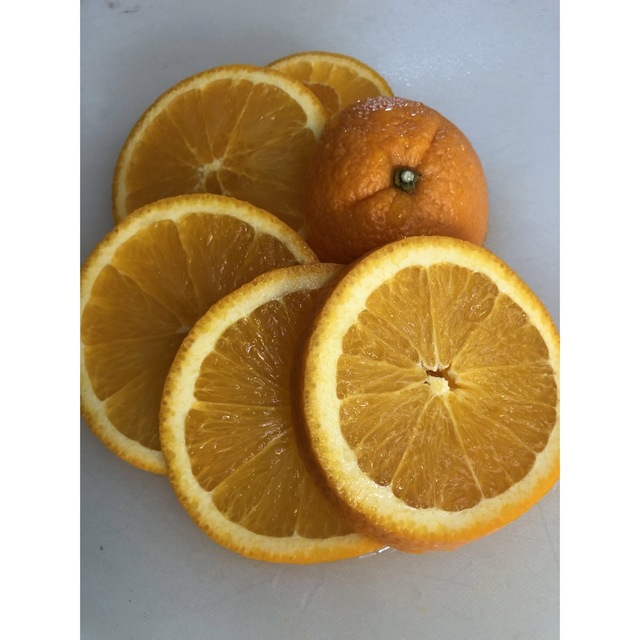 カリフォルニア産オレンジはねだし品箱込み約4kg以上