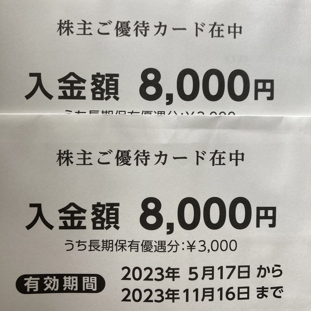 日曜日限定値下げ　アルペン　株主優待　8000円