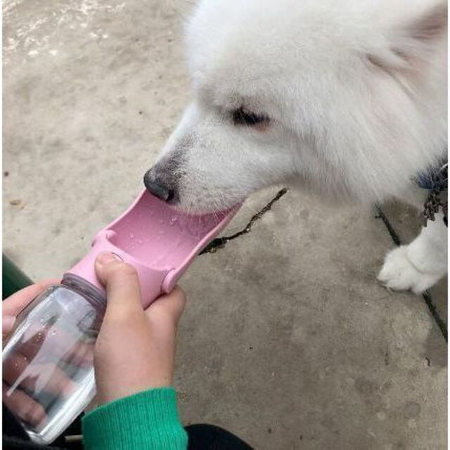 D86-1ペット用水筒携帯用水筒ペットウォーターボトルホワイト犬猫犬用水飲み/ その他のペット用品(犬)の商品写真