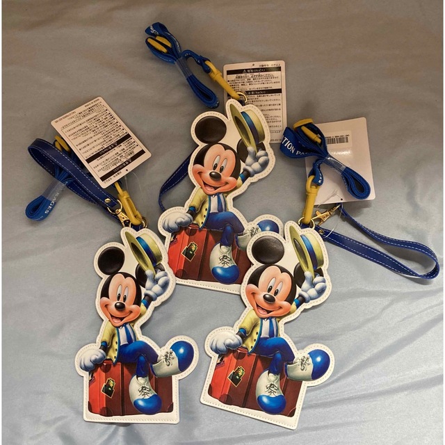 Disney(ディズニー)のバケーションパッケージのパスケース　3つ エンタメ/ホビーのおもちゃ/ぬいぐるみ(キャラクターグッズ)の商品写真