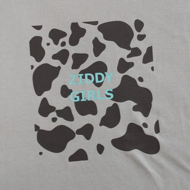 ZIDDY(ジディー)のZIDDY  半袖Tシャツ  140 キッズ/ベビー/マタニティのキッズ服女の子用(90cm~)(Tシャツ/カットソー)の商品写真
