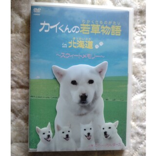 カイくんの若草物語　in　北海道～スウィートメモリー～ DVD(趣味/実用)