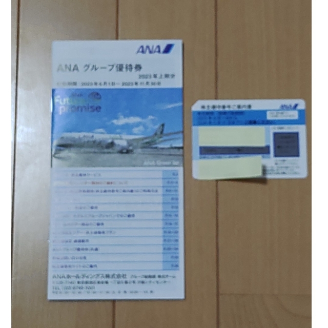 ANA　グループ優待券(航空優待券1枚付) チケットの乗車券/交通券(航空券)の商品写真