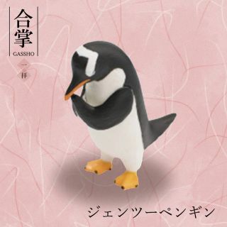 合掌　一拝　ジェンツーペンギン(その他)