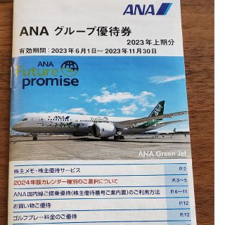 エーエヌエー(ゼンニッポンクウユ)(ANA(全日本空輸))のANAグループ優待券(その他)