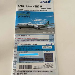 エーエヌエー(ゼンニッポンクウユ)(ANA(全日本空輸))のANA株主優待券(その他)