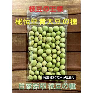 ★枝豆の種 王様‼︎在来種秘伝豆80粒＋α増量 プランター栽培できますよ！★(野菜)