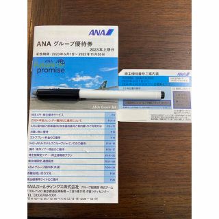 エーエヌエー(ゼンニッポンクウユ)(ANA(全日本空輸))のANA株主優待搭乗券　グループ優待券(航空券)