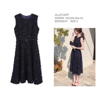 ジルスチュアート(JILLSTUART)のJILLSTUART【ＷＥＢ限定】カットジャガードワンピース　紗栄子(ひざ丈ワンピース)