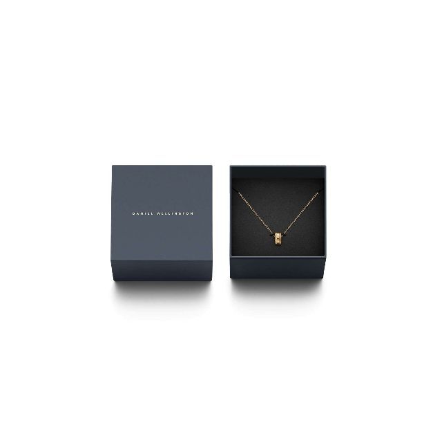 【色: ゴールド】Daniel Wellington Elevation Nec 2