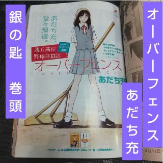 ショウガクカン(小学館)の週刊少年サンデー2011年22-23号※銀の匙 巻頭※オーバーフェンス センター(少年漫画)