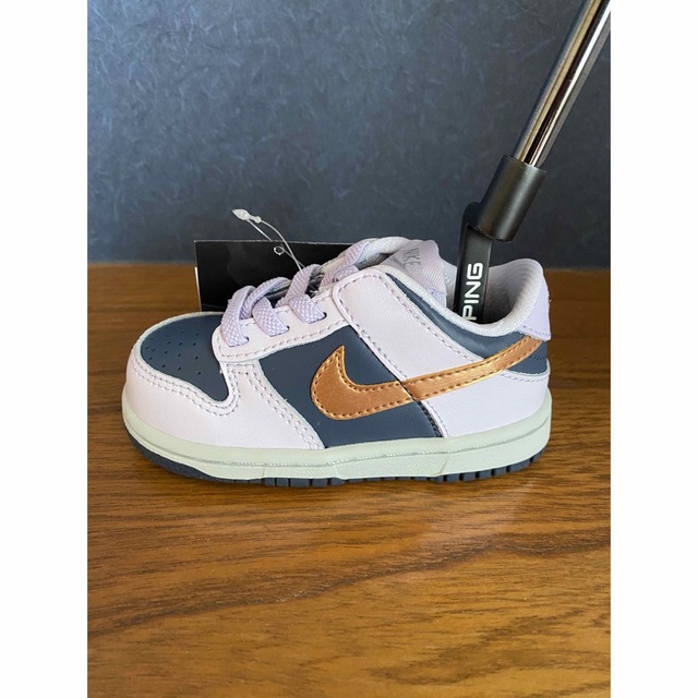 【超レア・美品】 NIKE DUNK ナイキ ダンク パターカバー c