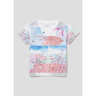 グラニフ(Design Tshirts Store graniph)のスイミー　Tシャツ　100 グラニフ(Tシャツ/カットソー)