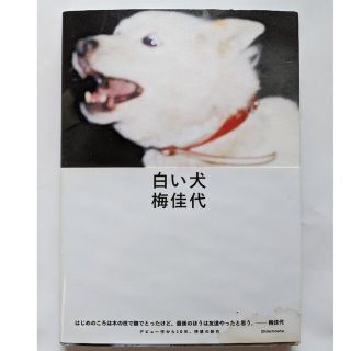 白い犬(趣味/スポーツ/実用)