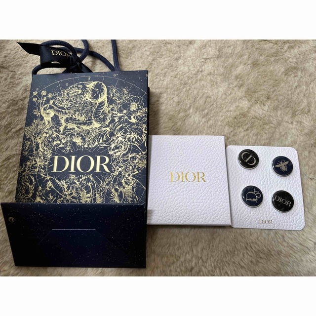 Dior(ディオール)のDior ピンバッジ エンタメ/ホビーのアニメグッズ(バッジ/ピンバッジ)の商品写真