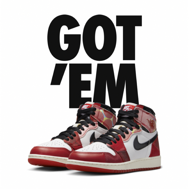 靴/シューズNike GS Air Jordan 1 High Next Chapter