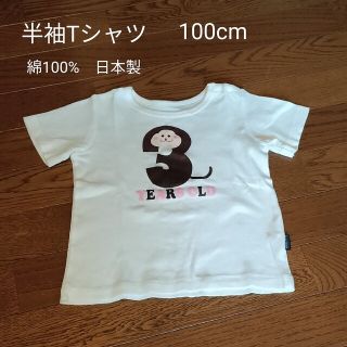 アンナニコラ(Anna Nicola)のアンナニコラ　半袖Tシャツ(Tシャツ/カットソー)