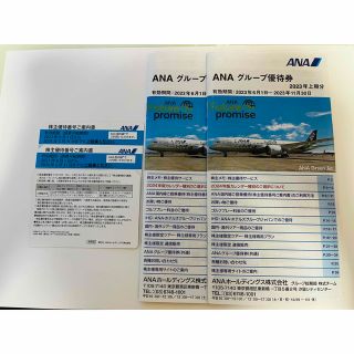 エーエヌエー(ゼンニッポンクウユ)(ANA(全日本空輸))のANA 株主優待券(その他)