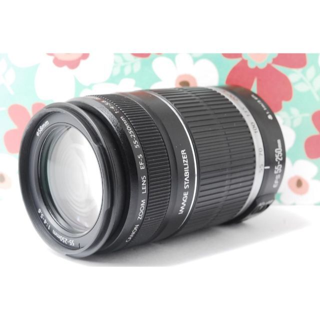 ❤Canon EF-S 55-250mm F4-5.6 IS❤手振れ補正❤望遠❤ 1