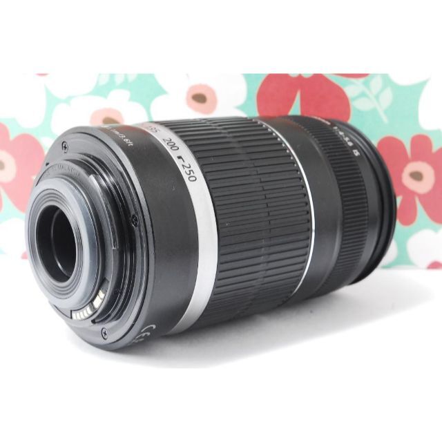 ❤Canon EF-S 55-250mm F4-5.6 IS❤手振れ補正❤望遠❤ - デジタル一眼